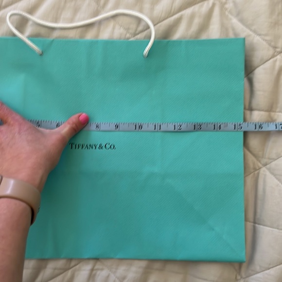 Tiffany & Company Shopping Gift Bag tote - Picture 13 of 16